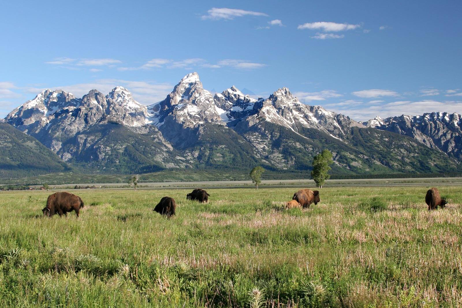 rent a car at bozeman mt airport