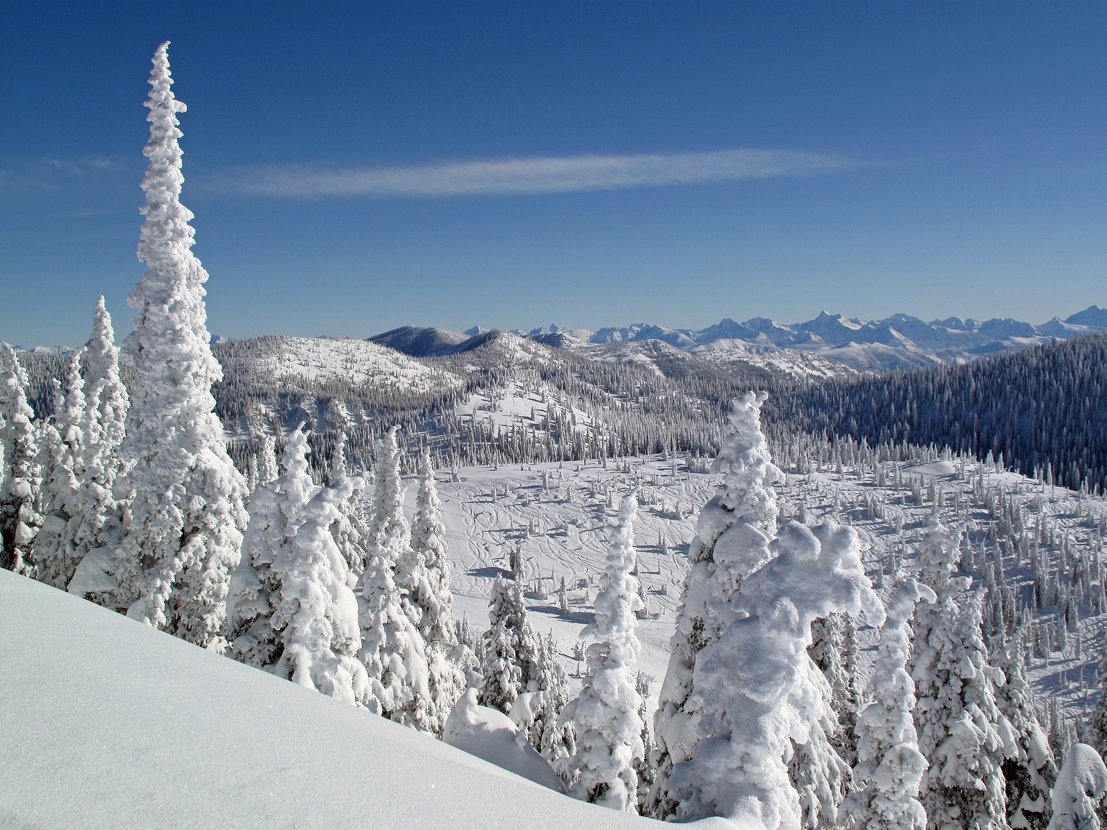 Bridger Boawl Ski Area near Big Sky MT