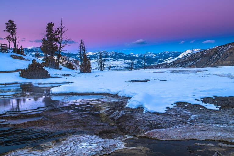 5 Reasons to Visit Yellowstone in the Winter Journey RentACar
