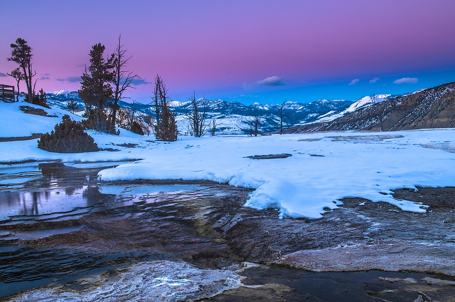 5 Reasons to Visit Yellowstone in the Winter