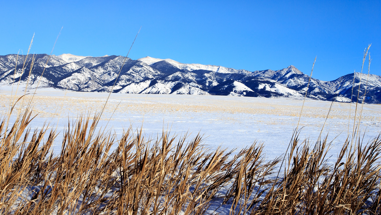Top 4 Reasons to Rent a Car or SUV During Winter in Bozeman, MT